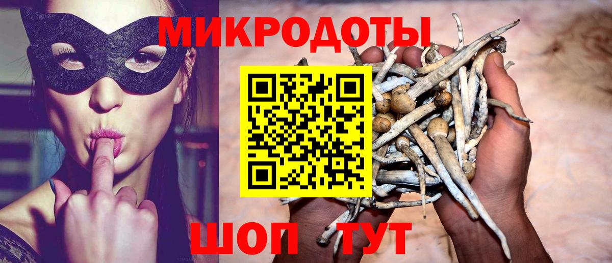 Первоуральск  Галлюциногенные грибы мицелий  Вход с VPN 